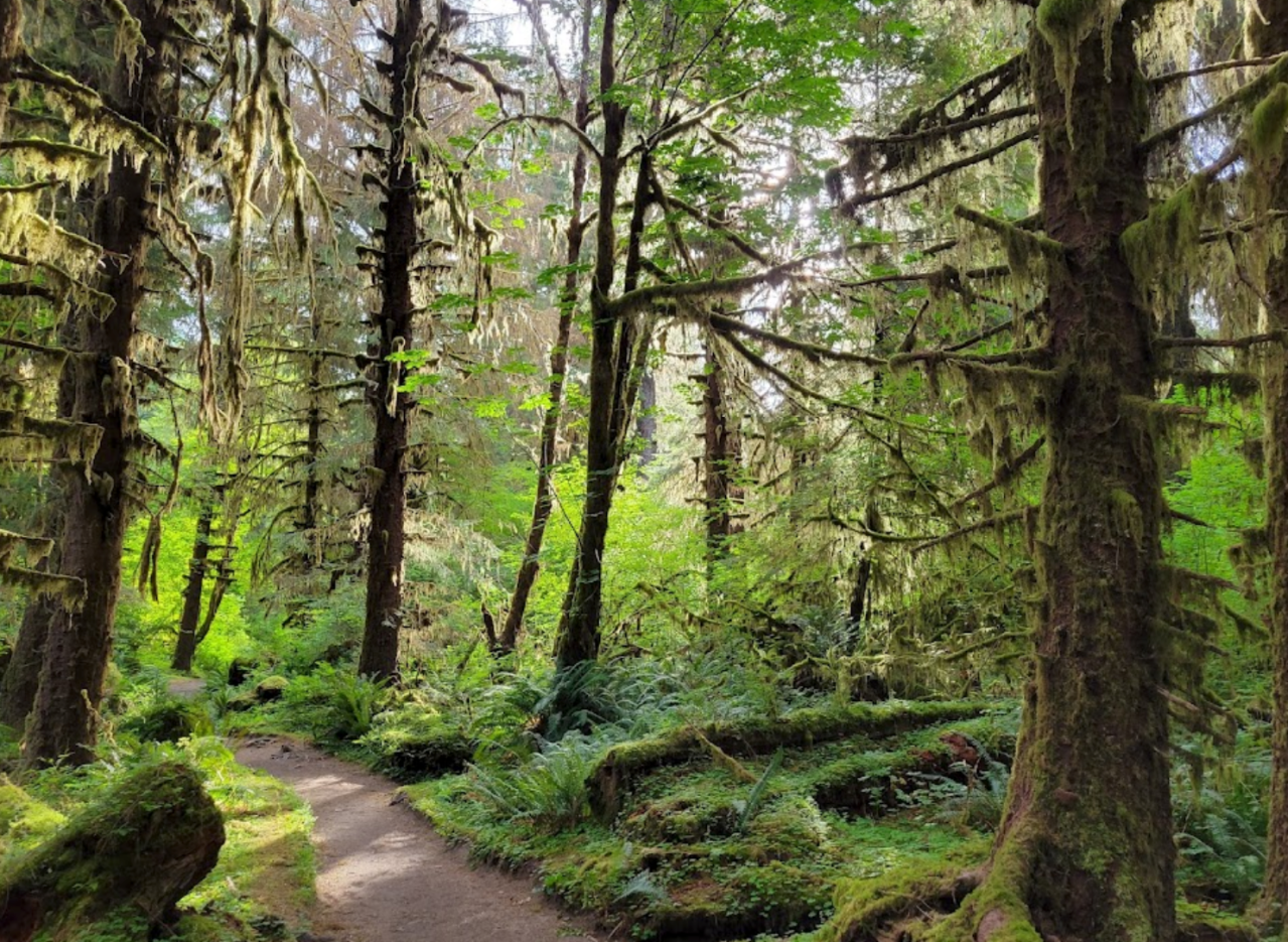 Did You Know Washington Is Home To The Quietest Place In America?